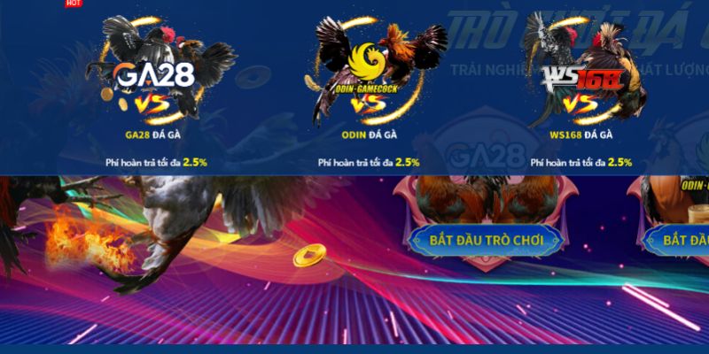 Đá gà VZ99: Trang chơi đá gà trực tiếp trường Thomo hấp dẫn 3 Cửa cược hay gặp khi tham gia chơi game