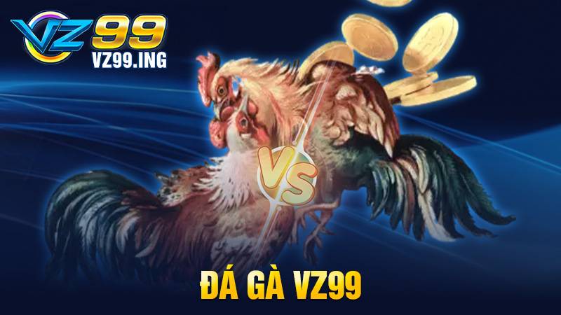Đá gà VZ99: Trang chơi đá gà trực tiếp trường Thomo hấp dẫn 2 Đá gà VZ99